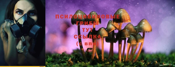 бошки Абдулино