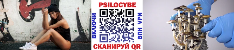 Псилоцибиновые грибы Psilocybe  Щучье 